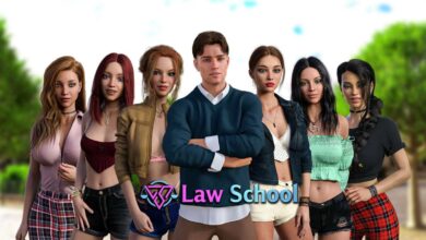Image Law School