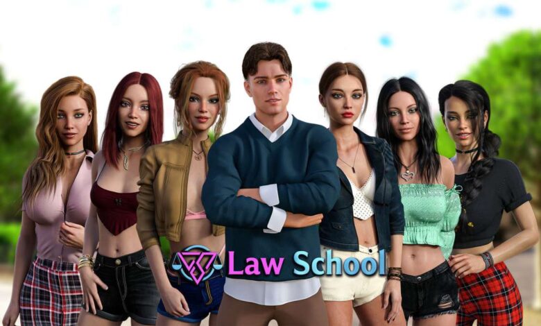 Image Law School