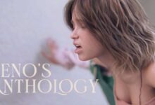 Image Zeno’s Anthology