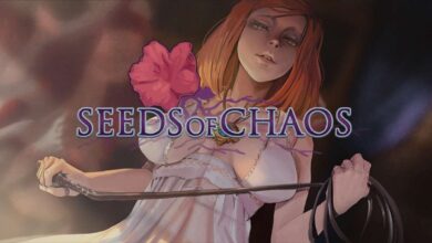 Image Seeds of Chaos