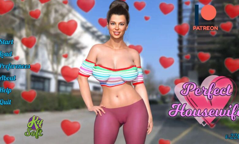 Image Perfect Housewife